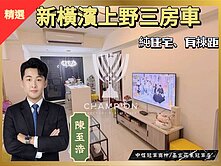 新橫濱上野三房平車【中信冠軍-至浩】