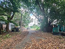 233青埔旁水青路都內農