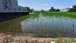 竹北溝貝段臨路方正農地