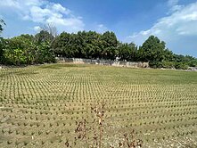 新竹近關埔特區鄰公道路超值大面寬美農地