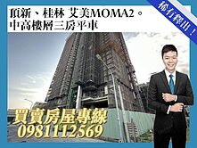 頂新、桂林 艾美MOMA2中高樓層三房平車
