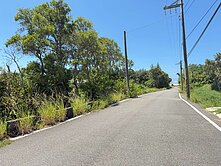 新屋台61旁 交通用地