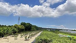 近千坪潛力地王．緊鄰岡山第二交流道核心黃02911