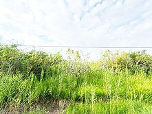 南區明興段都內農地