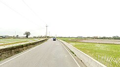 售 新屋66快速道華興路旁農地