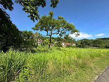 Ⓣ六龜大面寬臨路漂亮農地