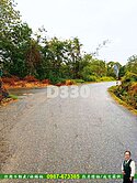 來去台東之泰安9.8甲稀有大農地/住商惜福