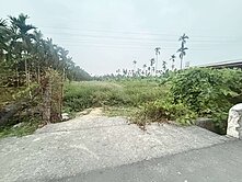 內埔海尼根17米大路旁漂亮都農