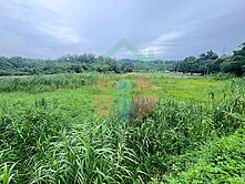 新化那拔6米路平坦農地