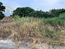 芳苑工業區大面寬建地