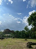竹崎農建地陽光莊園農舍