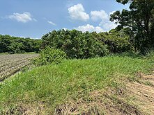 歸仁高鐵產業園區投資特專地