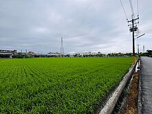 農地-宜蘭縣高鐵計劃 擴大 美農地