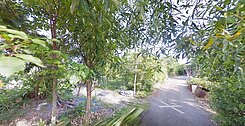 🌳🌳讚💥農地•南屯都計»臨路🌳