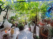 東區鄰近南紡平實建約51坪大透天-H023