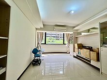 高鐵生醫特區│說Lavie採光3房平車	