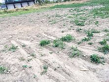永康地政重劃精華區建地