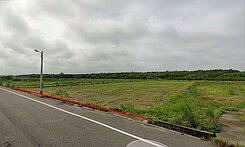 嘉6鄉道上-最漂亮的一塊農地