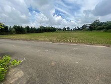 威盛團隊✨富岡國小-方正美農地