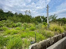 近台南高鐵國道3號與86快速道路臨路25米美農地