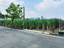 水上擴大都市計畫農地