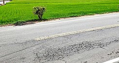 太保～3面臨路～都計內農地