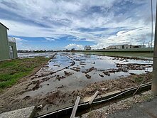 民雄~中央社區旁優質農地