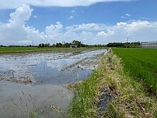 水上鄉~82快速道路旁 臨9米路 農地