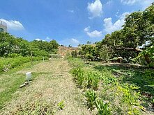 西港施寮里84坪甲種建地