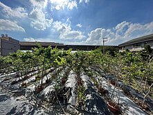 🌈后豐鐵馬道 | 水水40米路美農地 | 專簽