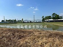六甲區550坪優質農地