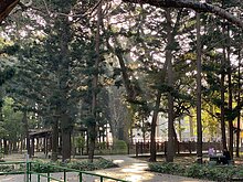北區公園北路高樓景觀大3房