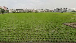 顧顧💎潭子矽品商圈臨路農地💎屋主急售・心態佳
