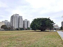 【科園秀玲】森林首席~F11+子母車位~價錢好談