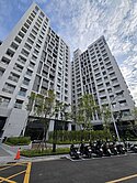 ⭐高大泰嘉拓真新成屋最便宜的面公園超大兩房平車
