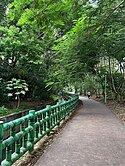 央大麒麟山莊 大地坪透天