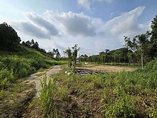 大社觀音山-尖山腳段稀有山坡地保育區(已分割齊全)