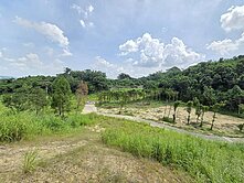 大社觀音山-尖山腳段稀有山坡地保育區(已分割齊全)