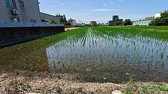 竹北溝貝段臨路方正農地