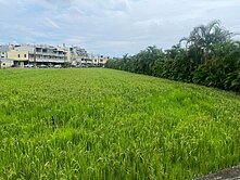 萬丹大路邊面寬都市內農地