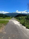 內埔龍泉市區山景都農