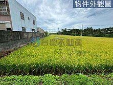 🌺新豐球場角地