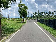長治近屏東市區低總價分管小農地