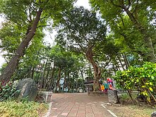 ⭐大安站附中面公園華廈💟住商林諭緹