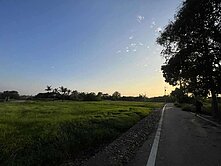 	專約#路竹竹滬雞舍用地.#合法畜牧登記