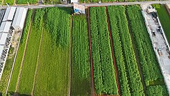 🌈大寮光明路🍎都內千坪農地