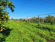 阿如A臨路有水電【平坦甲建+農地】新社買地送三合院