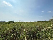 住商阿宏助您成家-善化FG重劃區住宅建地