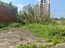☘️大園溪州段甲建加農地☘️