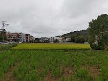 ☘️龍潭市區旁稀有甲建☘️